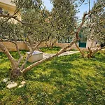 Dalmatia فيلة جيسينتسي
