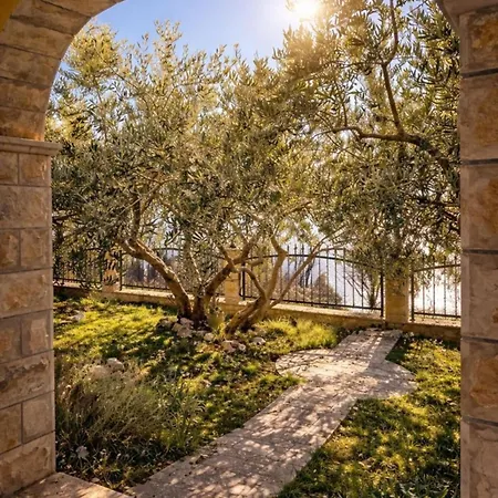 فيلة Dalmatia *