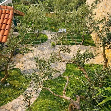 Dalmatia فيلة جيسينتسي